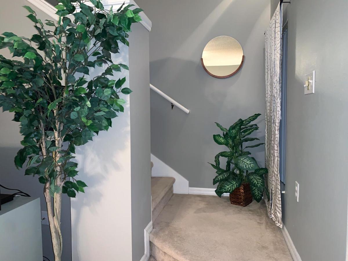 Terra Verde Vacation Rentals Kissimmee Eksteriør bilde